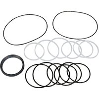 Baltrotors Seal kit for GRS10 GRS910AFD
