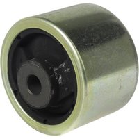 Fendt (AGCO) Spring element H916500200161