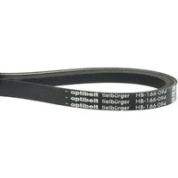 Tielbürger V-belt HB166094