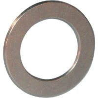 INA Locating washer LS75100