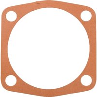 Maschio Gasket 0,5 mm M19100108R