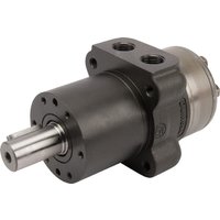 White Wheel motor, shaft diameter 25 OMPWX31511185871