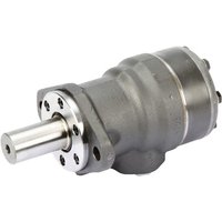 White Orbit motor, shaft diameter 32-L,Drain OMR2001510245