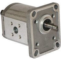 Casappa Pump PLP10.4 D0-81E1-LBB/BA-N- PLP104D081E1