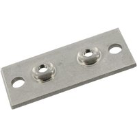 Stauff Two hole plate S.S. Gr.2 RS9412RVS