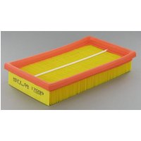 HiFi Filter Air filter for Lombardini SA17099
