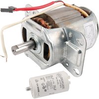 Sabo Electric motor SA34694