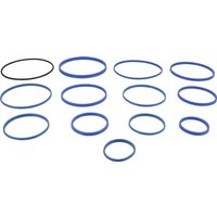 Di Natale-Bertelli Seal kit Z7 diameter 46-diameter 145 TC97005