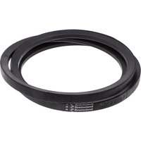Vicon V-belt Single VGND96109