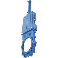 Ramus Gate valve+hydraulic cylinder VGRDEH125