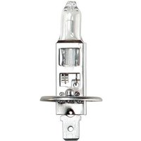 Vapormatic Light bulb H1 12V 55W VLC0448