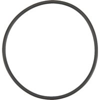 Fendt (AGCO) O-ring X548953166000