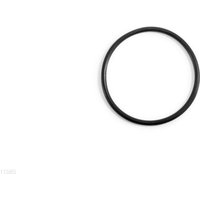 intex-ersatzteile-krystal-clear-salzwassersystem-26-500-l-15-o-ring