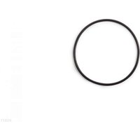 Intex Ersatzteile Blattfang-Dichtung - 1 Stk.