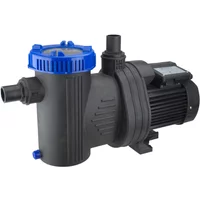 Steinbach Filterpumpe WP 21000 - 1 Stk.