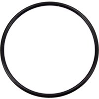 Intex Ersatzteile O-Ring für Titanplatten - 1 Stk