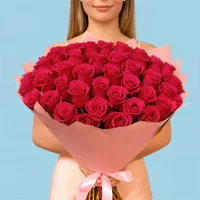 50 Premium Hot Pink Roses