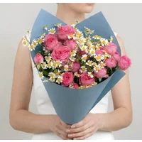 Daisy Blush