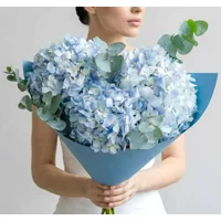Azure Mist