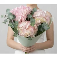 Royal Hydrangea