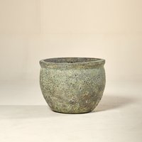 The Palm Centre Ambassadors Palm Centre Ambassadors Enjoy 25% Off Cauldron Aquarius Galaxy Emerald