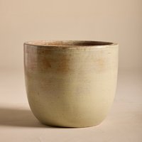The Palm Centre Ambassadors Palm Centre Ambassadors Enjoy 25% Off Antique White Egg Pot 56cmW x 48cmH