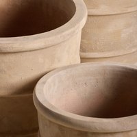 The Palm Centre Ambassadors Palm Centre Ambassadors Enjoy 25% Off Trapani Rustic Terracotta Planter