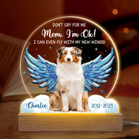 Custom Photo I Can Even Fly With My New Wings - Memorial Personalized Custom Shaped 3d Led Light - Sympathy Gift For Pet Owners, Pet Lovers