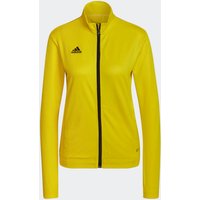 Chaqueta Entrada 22