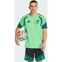 adidas Jersey de Entrenamiento Tiro México 26 Semi Flash Verde - Hombre