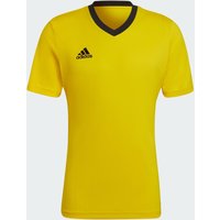Camisola Entrada 22