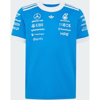 MERCEDES - AMG PETRONAS FORMULA 1 TEAM BLUE WONDER DRIVER JERSEY