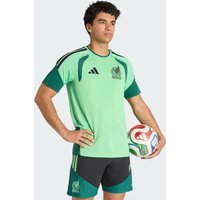 adidas Jersey de Entrenamiento Tiro Pro México 26 Semi Flash Verde - Hombre