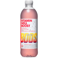 VITAMIN WELL Boost Arándanos y Frambuesa 500 ml