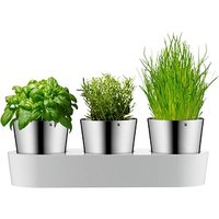 WMF Kräutertopf-Set Gourmet WMF Kräutertopf-Set Gourmet