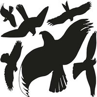 AVERY Zweckform Hinweisaufkleber Warnvögel Vogel 7,6 x 12,0 cm, 6 St.