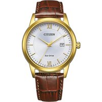 Citizen Herenhorloge Leder Eco-Drive AW1782-11A