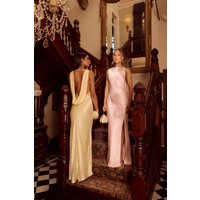 The Blaire Backless Satin Maxi Dress Light Pink