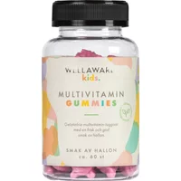 WellAware Kids Multivitamin Gummies 60 st