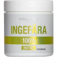 WellAware Ingefära Kapslar 100 st