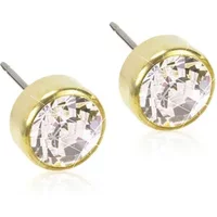 Blomdahl örhängen BM GT Bezel 5 mm Crystal 1 par