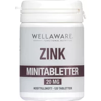 WellAware Zink 120 minitabletter