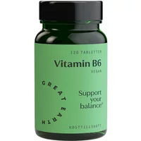 Great Earth Vitamin B6 120 tabletter