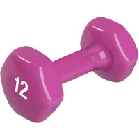 Spri Dumbbell Vinyl 5,5 kg Single
