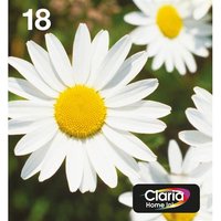 Epson Daisy 18 Claria Home Multipack 4-colours EasyMail Ink. Cartridge capacity: Standard Yield Black ink volume: 5.2 ml Supply type: Multi pack Colour ink volume: 3.3 ml Printing colours: Black Cyan Magenta Yellow Quantity per pack: 1 pc(s)