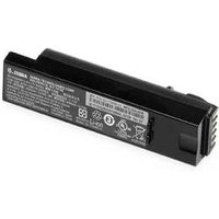 Zebra BTRY-DS81EAB0E-00. Product type: Battery Product colour: Black Brand compatibility: Zebra. Battery capacity: 2500 mAh