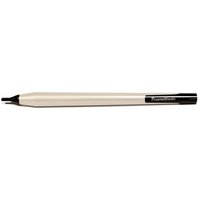 Promethean ActivPanel V7 stylus pen Nickel