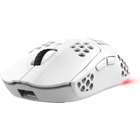 Trust GXT 929 Helox mouse Gaming Right-hand RF Wireless Optical 4800 DPI