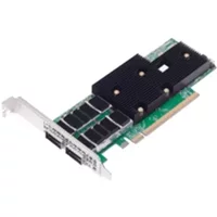 Broadcom P2200G Internal Ethernet