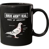 Birds Aren’t Real Mugs